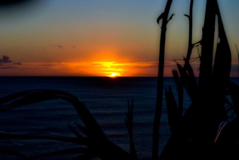 Samsul Islam; Last Ray of the Sun; The photo has been at Muriwai Beach of Auckland